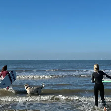 Beachhome Scheveningen