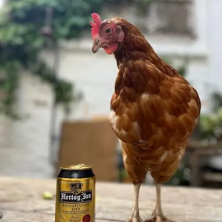 Beachhome Scheveningen *