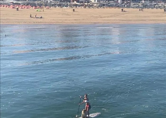 Beachhome Scheveningen האג