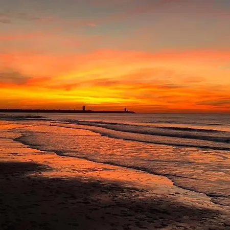 Beachhome Scheveningen 헤이그