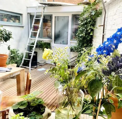 Beachhome Scheveningen * La Haye